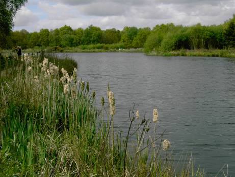 Quaker Meeting House